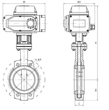 Fluor Centrifugal Sealing Electric Flange Connection Butterfly Valve AC220V Standard DIN 1